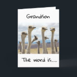 **18** SIE SIND JETZT TEENAGER **GRANDSON** KARTE<br><div class="desc">GLÜCKLICHER GEBURTSTAG ***GRANDSON**** DANKE,  DASS SIE VON EINER MEINER ACHT GESCHÄFTE GESCHAFFEN HABEN!</div>