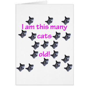 18 têtes de chat vieilles