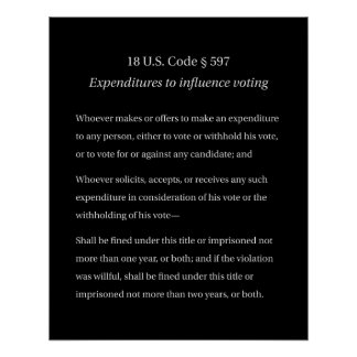 18 US Code 597 Ausgaben zur Beeinflussung der Wahl Poster