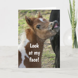 **18e ANNIVERSAIRE** Carte PONY SURPIRÉE