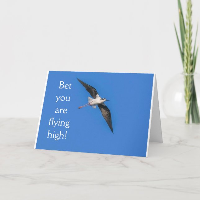 **18e anniversaire HUMOUR d'OISEAU** Carte d'anniv (Devant)