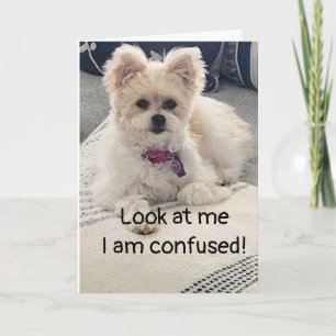 **18e ANNIVERSAIRE** SI CONFUS ! Carte