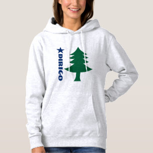 1901 sweat - shirt à capuche de drapeau du Maine 
