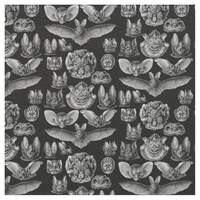 1904 Haeckel Chiroptera Stoff (Nahaufnahme)