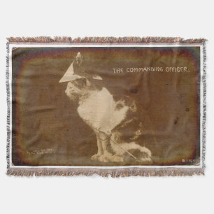 1906 Der Kommandeur verkleidete Katze RPPC Decke