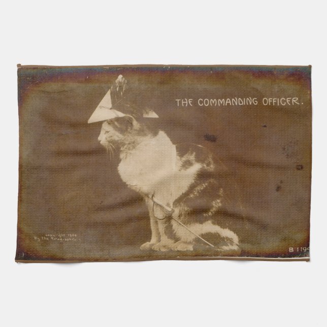 1906 Der Kommandeur verkleidete Katze RPPC Küchentuch (Horizontal)