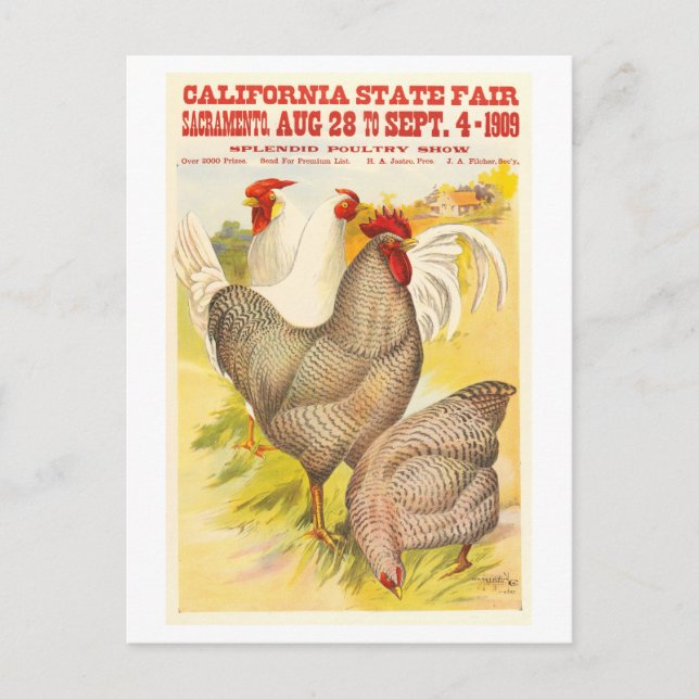 1909 California Staat Fair Poultry Poster Postkarte (Vorderseite)