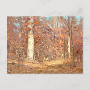 1909 Landschaft von T. C. Steele Postcard Postkarte