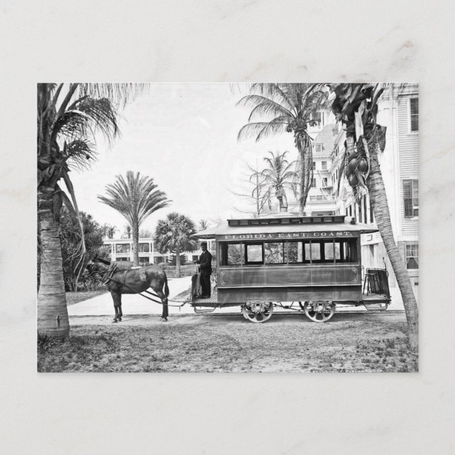 1909 Palm Beach Florida Trolley Postcard Postkarte (Vorderseite)