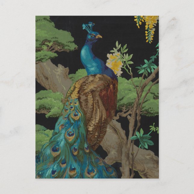 1910 Vintages Tapete Zedernbaum Postkarte (Vorderseite)