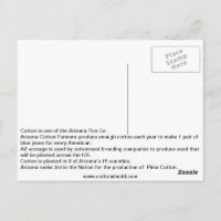 1912 Baumwolle von Arizona Fakt Postkarte
