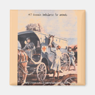 "1917 auf Rädern Französisches Tierkrankenhaus" Magnet