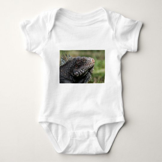 1920px-Iguanidae_head_from_Venezuela Baby Strampler