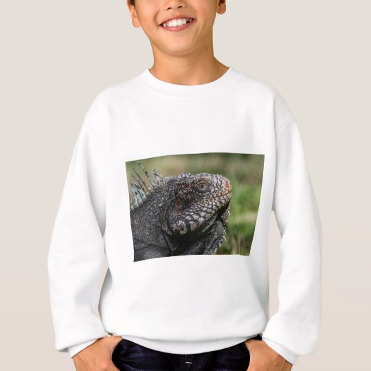 1920px-Iguanidae_head_from_Venezuela Sweatshirt