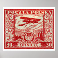 1925 30 gr polnische Luftpost-Briefmarke