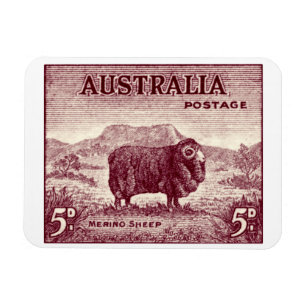 1934 Australian Merino Sheep Magnet