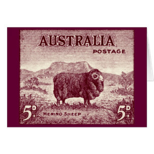 1934 australische Merinoschafe