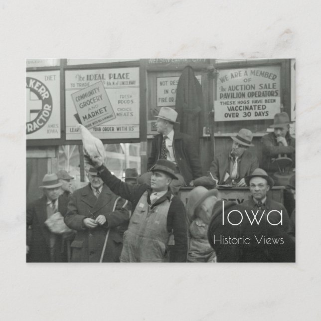 1936 Viehversteigerung Postkarte (Vorderseite)