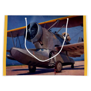 1939 Grumman F-2 Große Geschenktüte