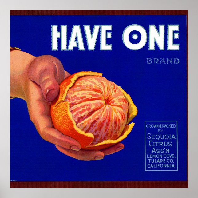 1940er haben ein orangefarbenes Katzenetikett Poster (Vorne)