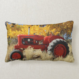 1955 WD45 Allis Chalmers Traktor Lendenkissen