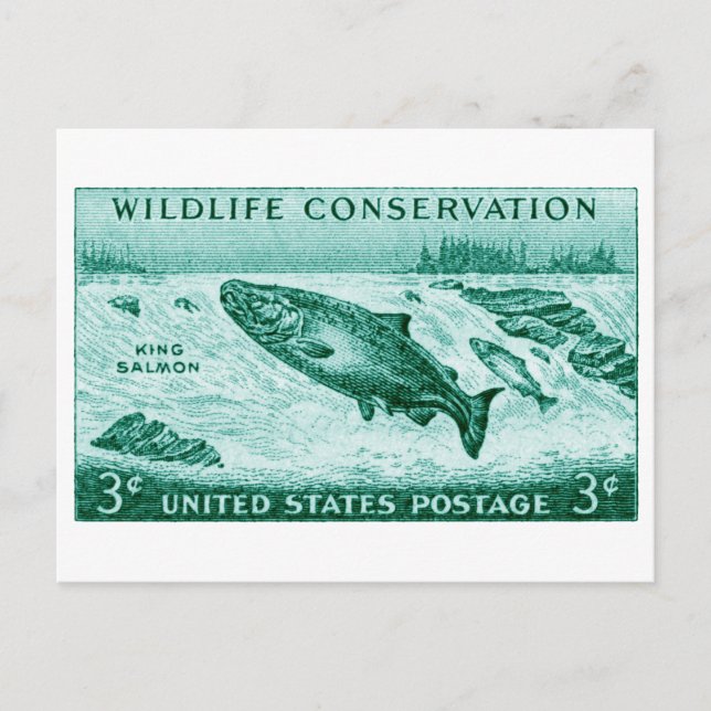 1956 Erhaltung der wild lebenden Tiere und Pflanze Postkarte (Vorderseite)