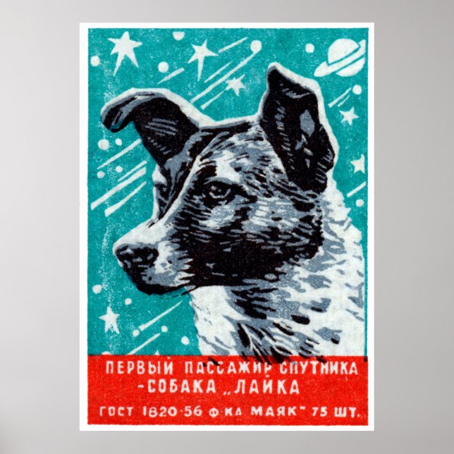 1957 Laika der Weltraumhund Poster (Vorne)