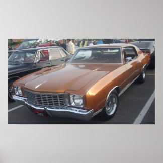 1972 Chevrolet/Chevrolet Monte Carlo Poster
