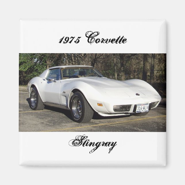 1975 Corvette Stingray-Magnet Magnet (Vorne)