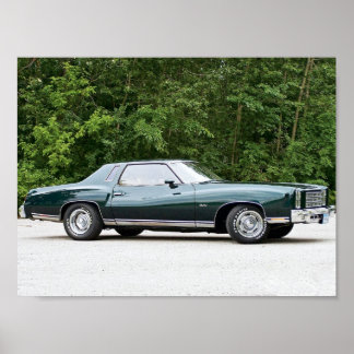 1977 Chevrolet/Chevrolet Monte Carlo Poster