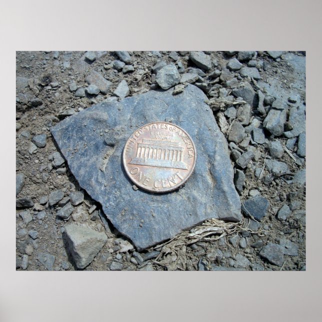 1980 American Penny (Front) Poster (Vorne)