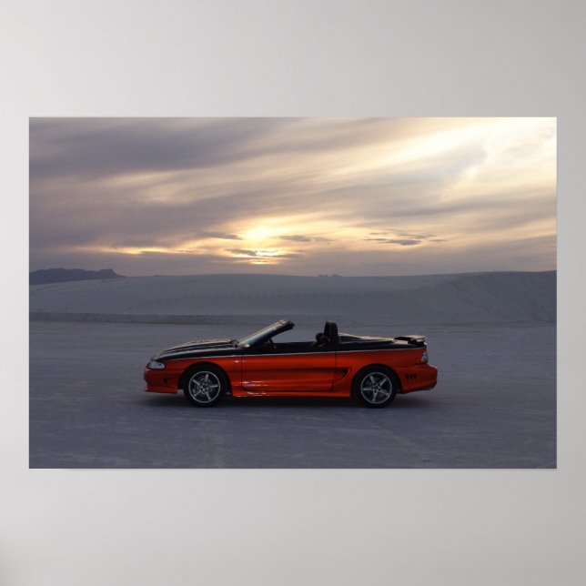 1995 Stang Convertible Poster (Vorne)