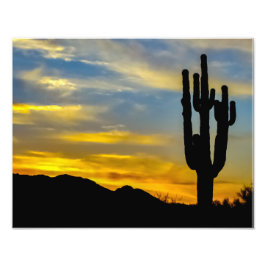 1996-2-Wüste Arizona bei Sonnenuntergang mit Sagua Fotodruck