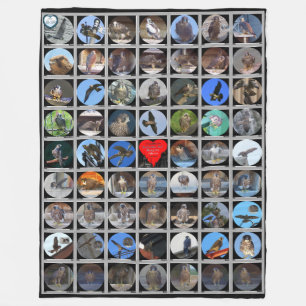 1998-2019 Peregrine Falcons of Rochester, NY Fleecedecke