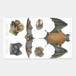 19. C. Bat Print Rechteckiger Aufkleber