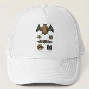 19. C. Bat Print Truckerkappe
