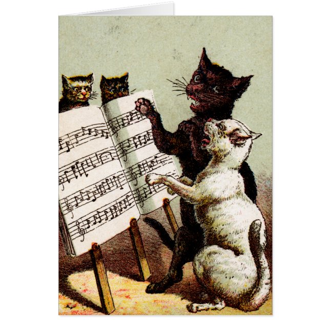 19. C. Gesang-Katzen (Vorne)