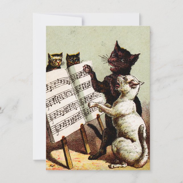 19. C. singende Katzen (Vorderseite)
