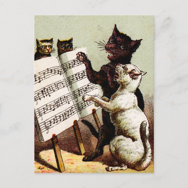 19. Jh. singende Katzen Postkarte (Vorderseite)