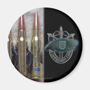 19. Spezialkraftgruppe vietnam son vets magnet