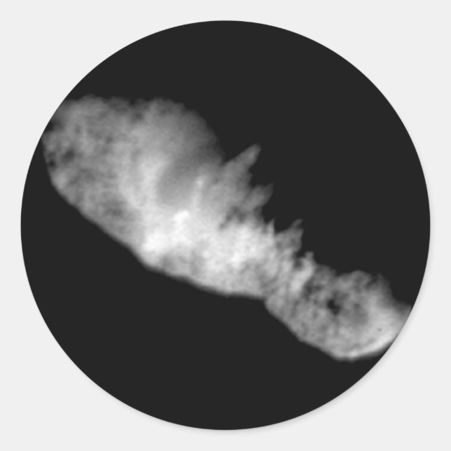 19P/Borrelly Runder Aufkleber (Vorderseite)