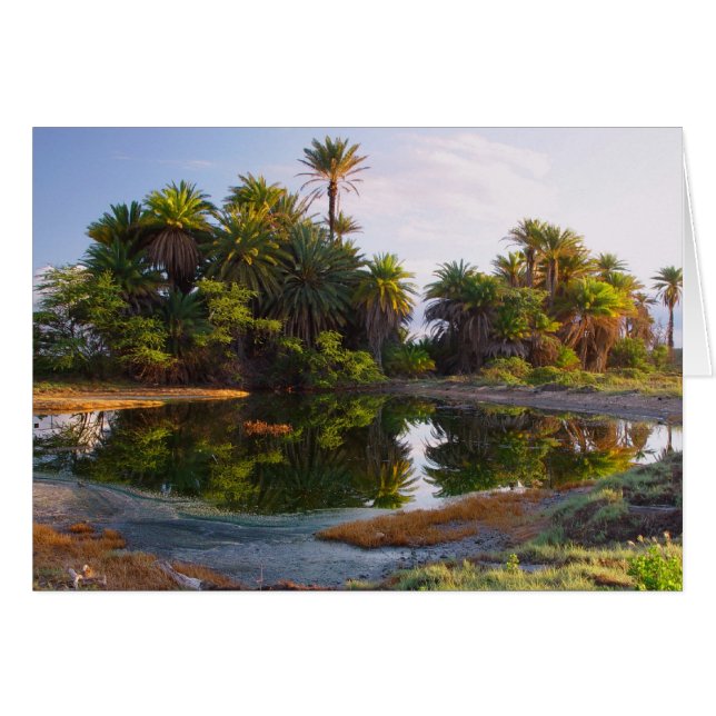 1 000 000 ans avant J.-C. (Devant horizontal)