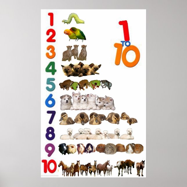 1 - 10 Numbers Poster (Vorne)