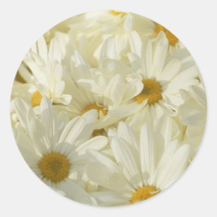 1 1/2 Zoll-runde Gänseblümchen-Aufkleber Runder Aufkleber