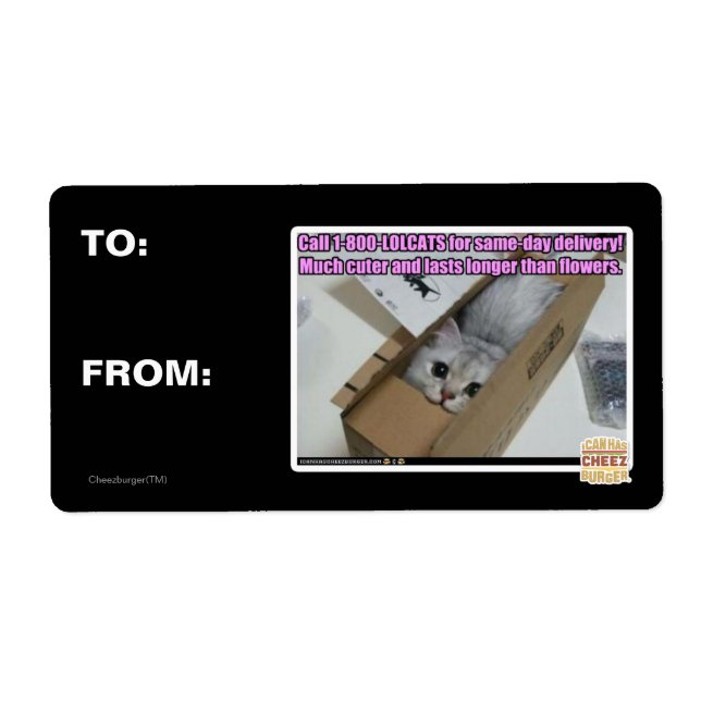 1-800-LOLCATS anrufen (Vorne)