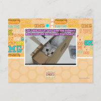 1-800-LOLCATS anrufen