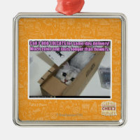 1-800-LOLCATS anrufen
