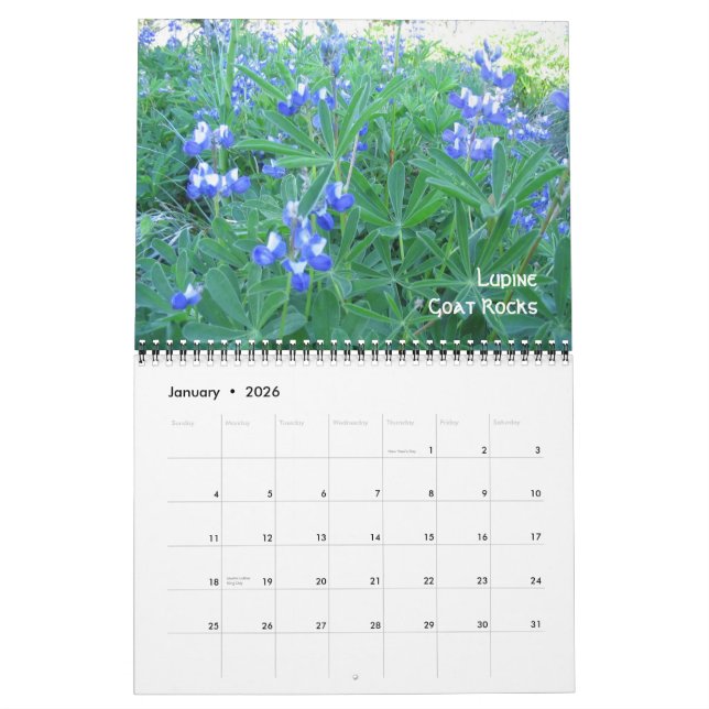 1, Alpine Wildblumen Ziegengestein, Berg Hood und  Kalender (Jan 2026)
