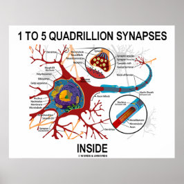 1 bis 5 Quadrillionen Synapsen Inside Neuron Synap Poster
