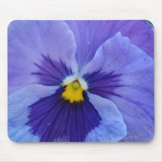 1 blauer SchönheitPansy Mousepad (Vorne)